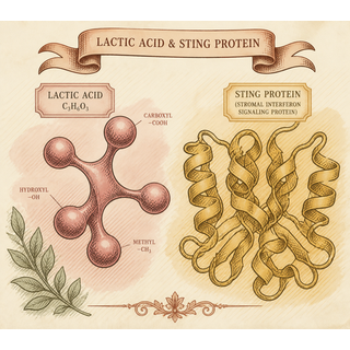 *Pssst.* Your tumor may be bribing the immune system with lactic acid.